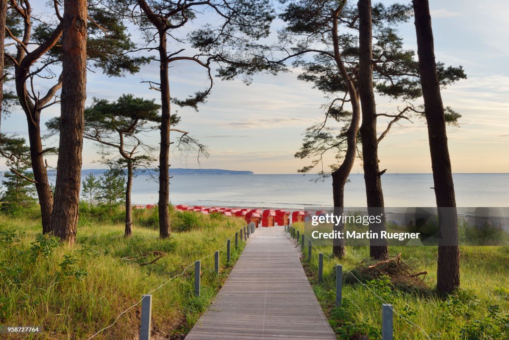 Path to beach, Ostseebad Binz (seaside resort) in background is the Baltic Sea. Binz, Baltic Sea, Rügen Island, Mecklenburg-Vorpommern, Germany.
