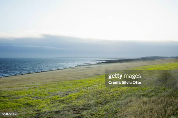 landscape near stonehaven - silvia otte stock pictures, royalty-free photos & images