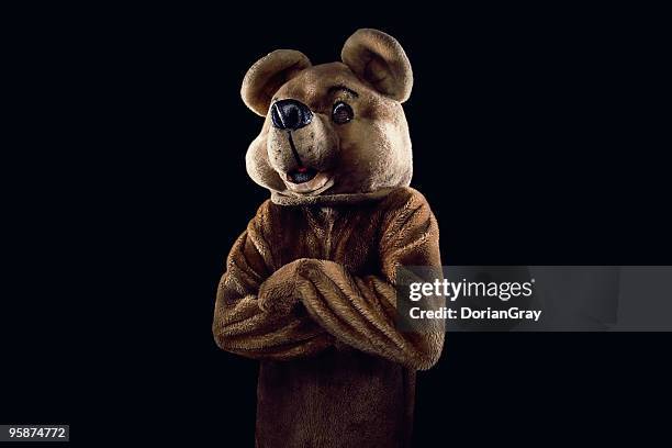 bearness - bear suit stock pictures, royalty-free photos & images