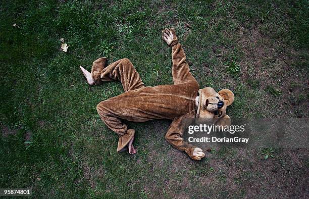 forest violence - bear-laying stock pictures, royalty-free photos & images