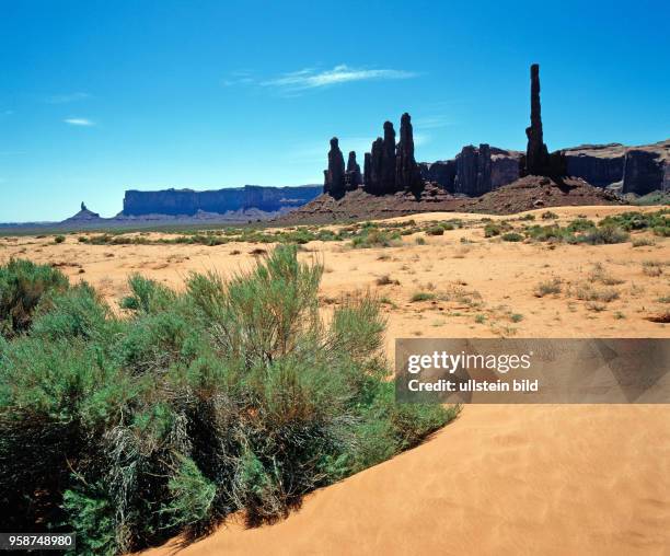 Spektakulaere Naturlandschaft, das Monument Valley mit Navajo National Monument in Arizona USA, beruehmte Filmkulisse vieler Western und beliebtes...