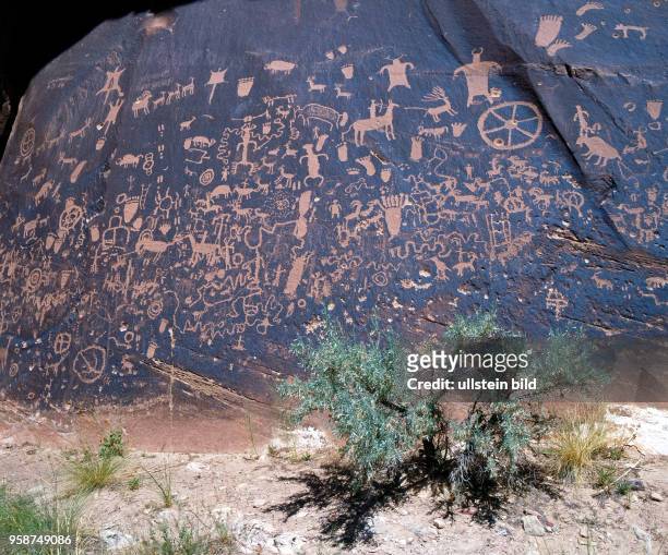 Newspaper Rock, der Zeitungsfelsen in Utah, ein Sandsteinbrocken mit eingravierten indianischen Zeichnungen und Symbolen der Anasazi, Fremont, Navajo...