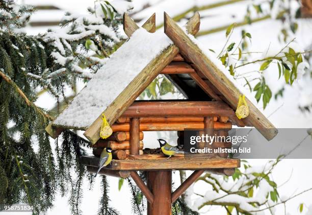 Vogelhaus im winterlichen Garten mit gefiederten Gaesten, Kohlmeisen