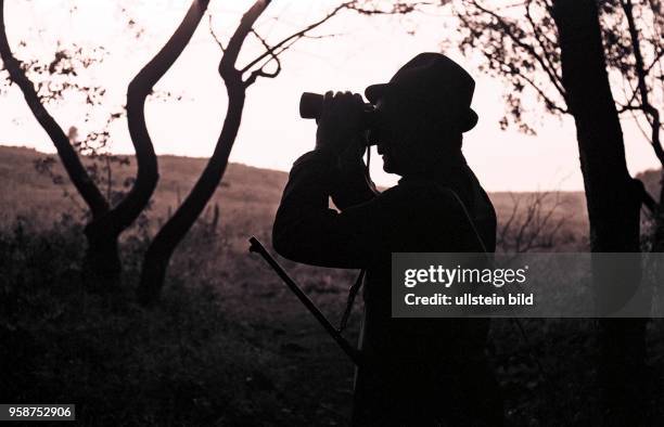 Jaeger auf der Pirsch hat Anblick, schaut mit dem Fernglas vom Waldrand hinaus zur Feldflur