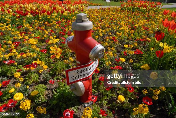 Gaerten der Welt IGA 2017, Gaerten der Welt , IGA-Gelaende. Loeschwasser-Hydrant im Tulpenfeld.