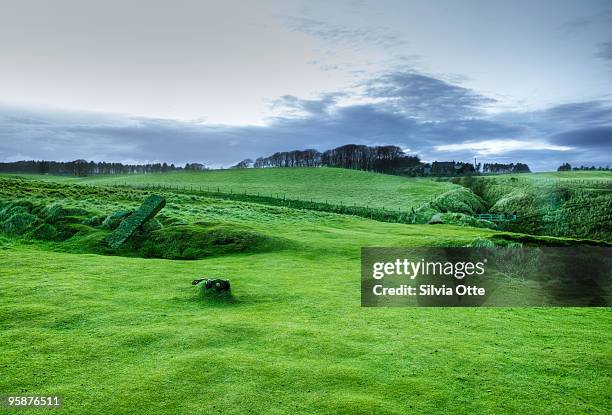 mossy grass next to dunnottar castle - silvia otte stock pictures, royalty-free photos & images