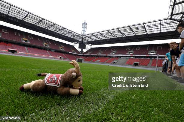 Köln Stadionführung Christoph Hettenkofer führt Besucher durch das Stadion des 1. FC Köln. Eine Führung durch das RheinEnergieSTADION dauert 75 bis...