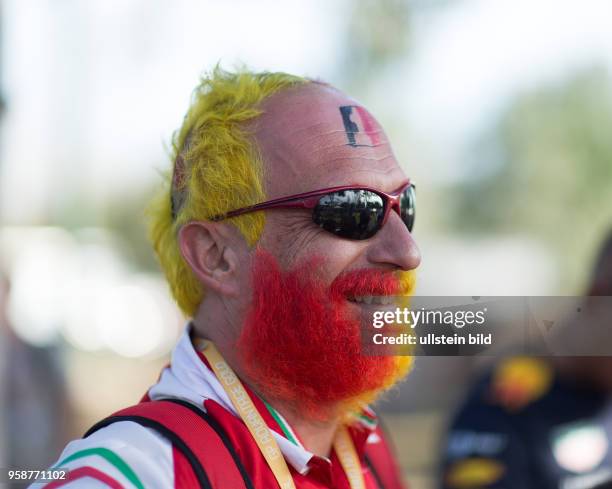 Fans, formula 1 GP, Australien, Melbourne,