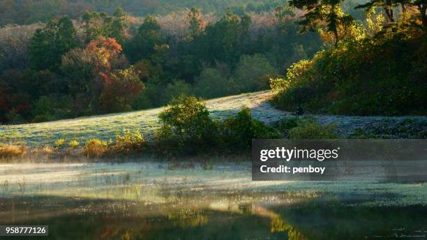the sunlight in the morning - província de chungcheong do sul imagens e fotografias de stock