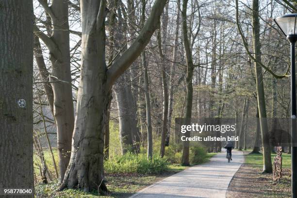 Radweg am renaturierten Fluss Dalke in Gütersloh