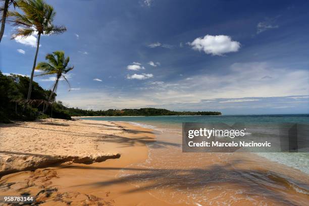 outeiro beach in trancoso - marcelo nacinovic stockfoto's en -beelden