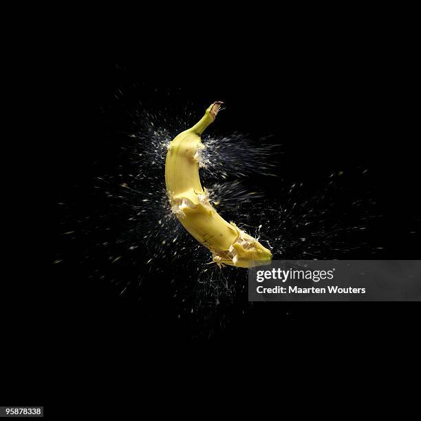 Exploding Bannan 25 Banana Explosion Stock Photos, High-Res Pictures, and Images - Getty ...