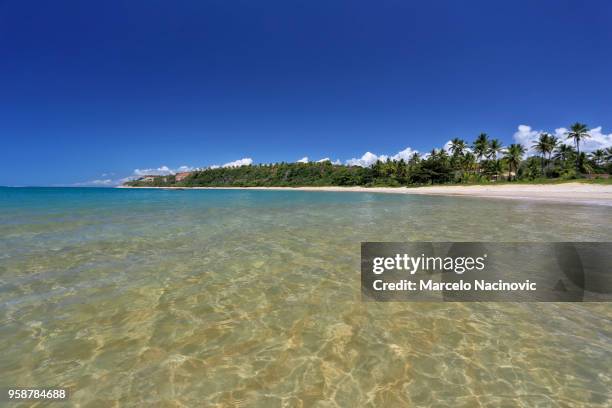 outeiro beach in trancoso - marcelo nacinovic stockfoto's en -beelden