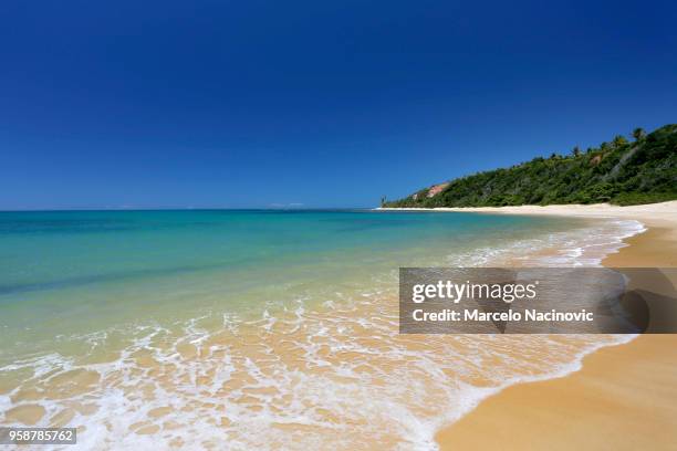 outeiro beach in trancoso - marcelo nacinovic stockfoto's en -beelden