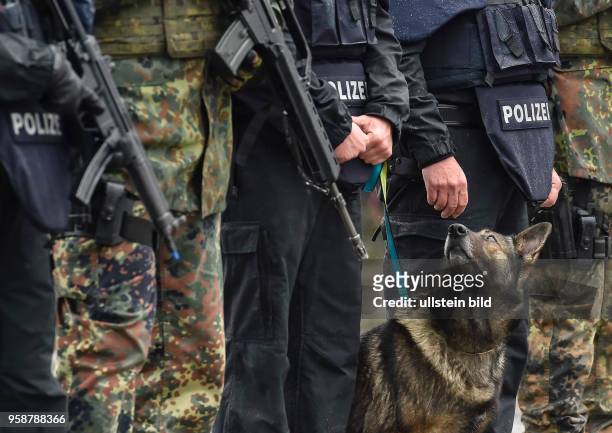 Ein Polizei Spuerhund steht zwischen Diensthosen und Stiefel von Polizisten und Soldaten bei einer gemeinsamer Vorfuehrung von Kraeften der Polizei...