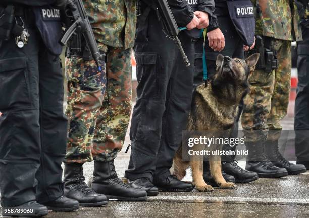 Ein Polizei Spuerhund steht zwischen Diensthosen und Stiefel von Polizisten und Soldaten bei einer gemeinsamer Vorfuehrung von Kraeften der Polizei...