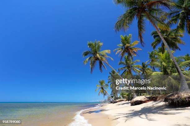 outeiro beach in trancoso - marcelo nacinovic stockfoto's en -beelden