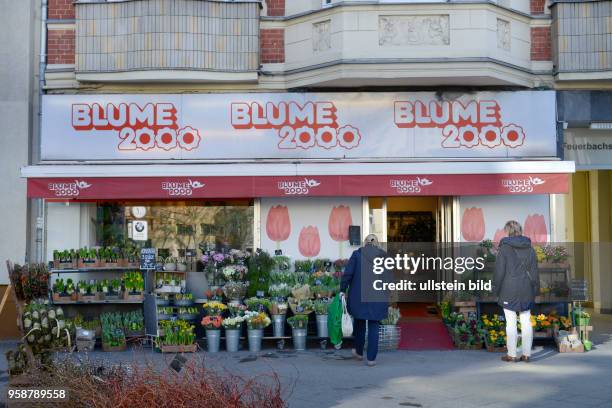Blume 2000, Schlossstrasse, Steglitz, Berlin, Deutschland