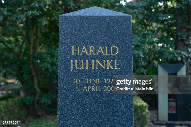 Grab, Harald Juhnke, Waldfriedhof Dahlem, Huettenweg, Berlin, Deutschland / Hüttenweg