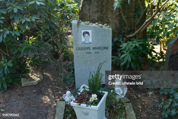Grab, Giuseppe Marcone, Waldfriedhof Dahlem, Huettenweg, Berlin, Deutschland / Hüttenweg