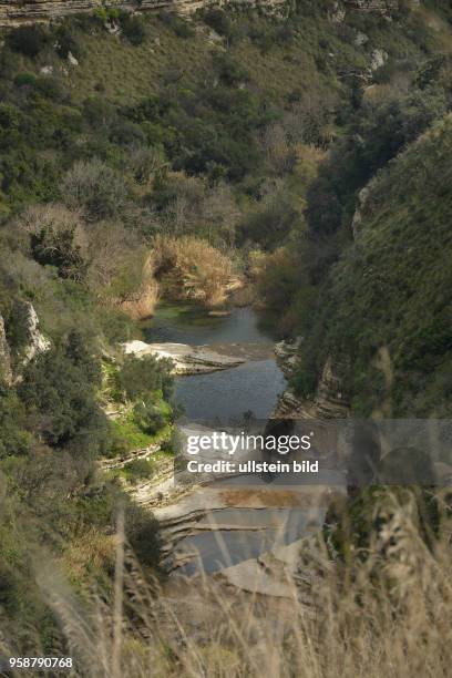 Teiche, Fluss, Schlucht, Cavagrande del Cassibile, Sizilien, Italien