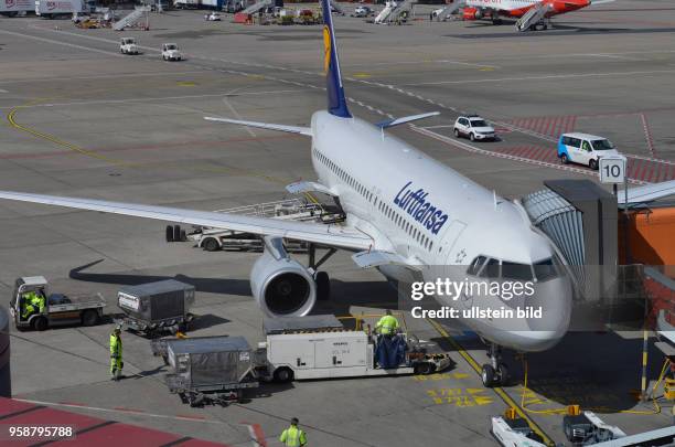 Lufthansa, Flugzeug, Vorfeld, Flughafen Tegel, Reinickendorf, Berlin, Deutschland