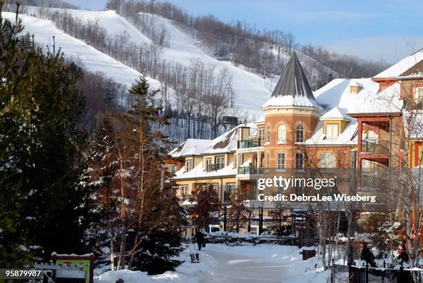 the mountain - collingwood ontario kanada bildbanksfoton och bilder