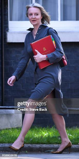 Liz Truss, Chief Secretary to the Treasury arriving at No10 for the weekly cabinet meeting, on May 15, 2018.