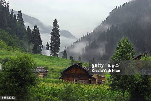 neelum valley kashmir - yasir nisar stock pictures, royalty-free photos & images