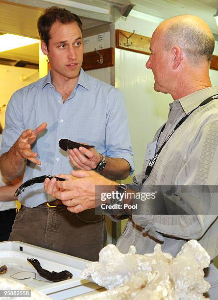 Cd R Alan Williams Dr Alan Williams Photos and Premium High Res Pictures - Getty Images