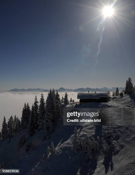 Alp, Brauneck, Alp mountains, Lenggries, Germany