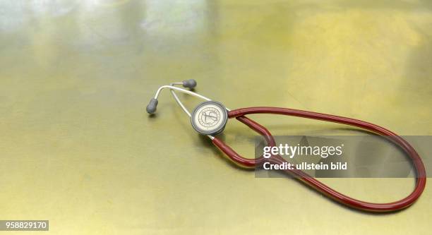 Stethoscope, Veterinary, Miesbach, Germany