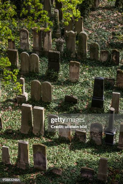 Jüdischer Friedhof Schönhauser Allee. Blick vom Dach des Hauses Schönhauser Allee 22, dem Sitz des ehemaligen jüdischen Altersheims.