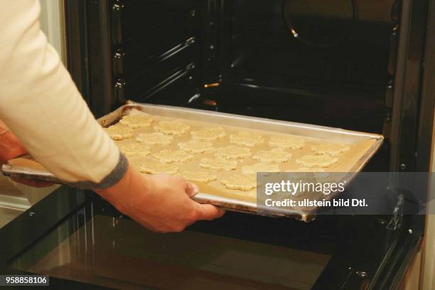 Backen, Kekse backen, Plaetzchen backen, Weihnachtsplaetzchen, Weihnachtsgebaeck. Backblech mit ausgestochenen Plaetchen auf Backpapier wird in den...