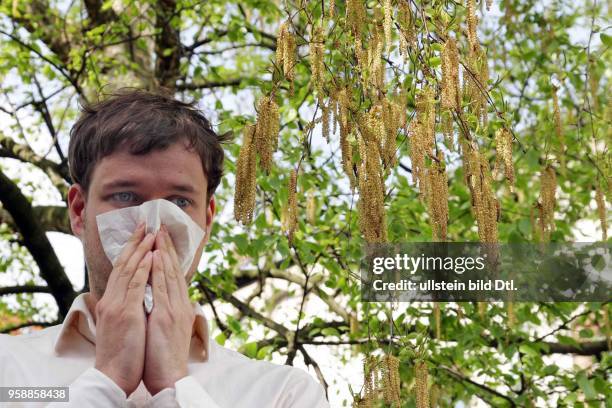 Allergien, Heuschnupfen - Birkenpollen. Junger Mann putzt sich unter einem Birkenzweig die Nase