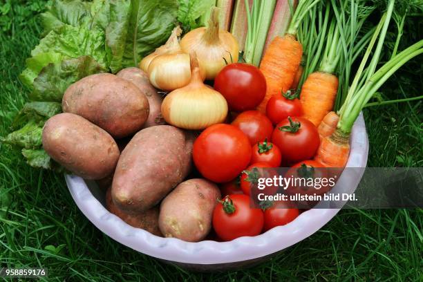 Fresh vegetables, bowl with tomatoes, carrots, potatoes, onions and salad on a meadow