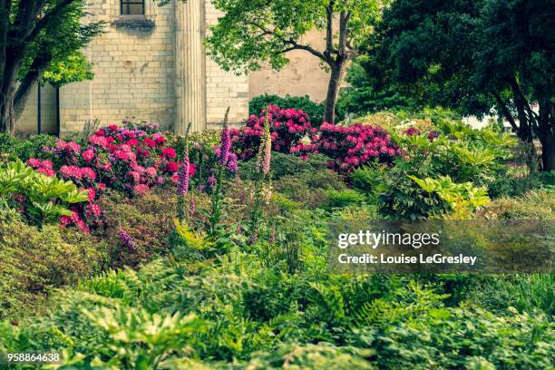 formal garden with multiple flowers - french formal garden stock pictures, royalty-free photos & images