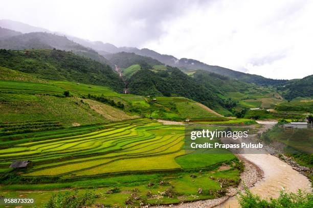 world heritage ifugao rice terraces - ifugao province stock pictures, royalty-free photos & images