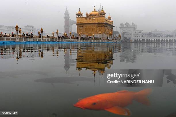 Temple Fish 412 Basant Panchami Spring Stock Photos, High-Res Pictures, and Images ...