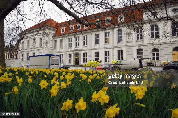 Das Prinzessinnenpalais zeigt nach der Sanierung und Umbau wieder sein Gesicht, auch die traditionellen Fruehlingsblueher im Garten sind wieder...