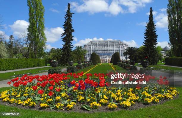 Bei sonnigem Wetter bietet der Botanische Garten auf seinem Fruehlings-pfad beste Erholung.