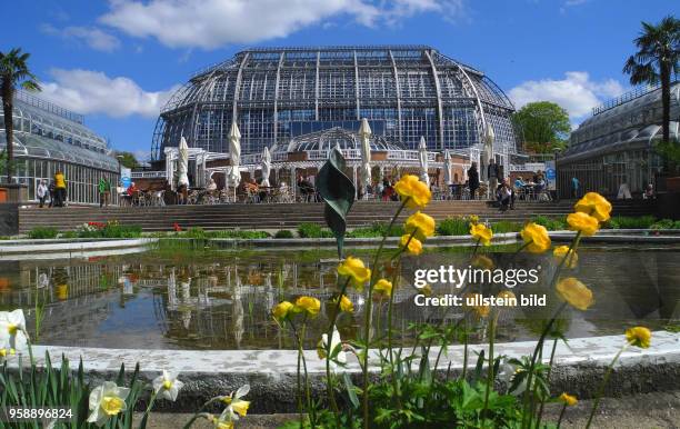 Bei sonnigem Wetter bietet der Botanische Garten auf seinem Fruehlings-pfad beste Erholung.