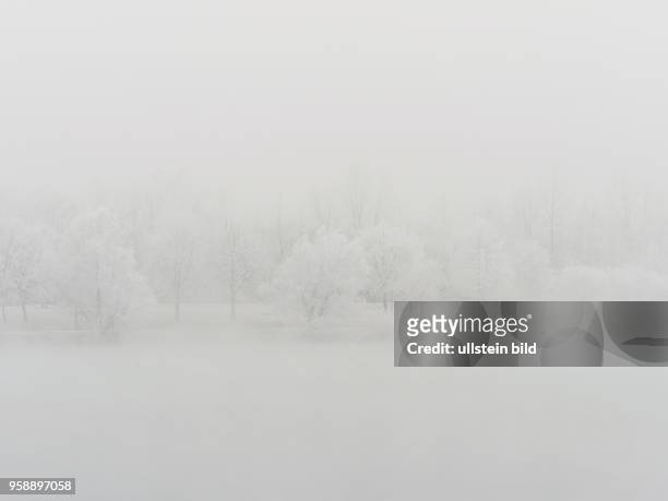 Landschaft mit Bäumen und Raureif bei Kälte im Winter. Typisches Winterbild als Hintergrund.