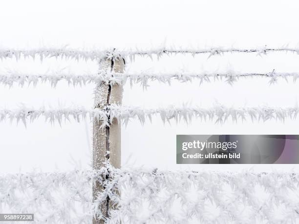 In der Kälte im Winter bildet sich Raureif