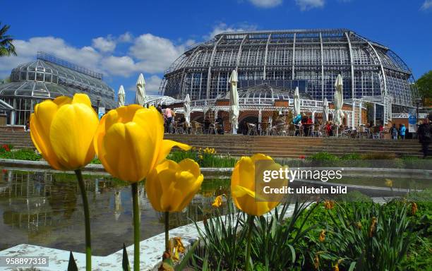 Bei sonnigem Wetter bietet der Botanische Garten auf seinem Fruehlings-pfad beste Erholung.
