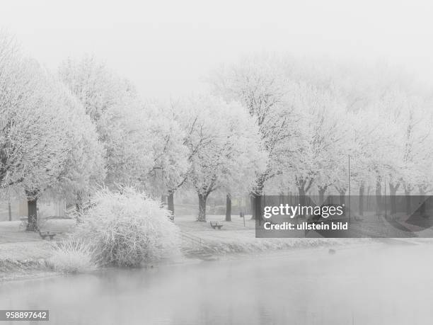 Landschaft mit Bäumen und Raureif bei Kälte im Winter. Typisches Winterbild als Hintergrund.