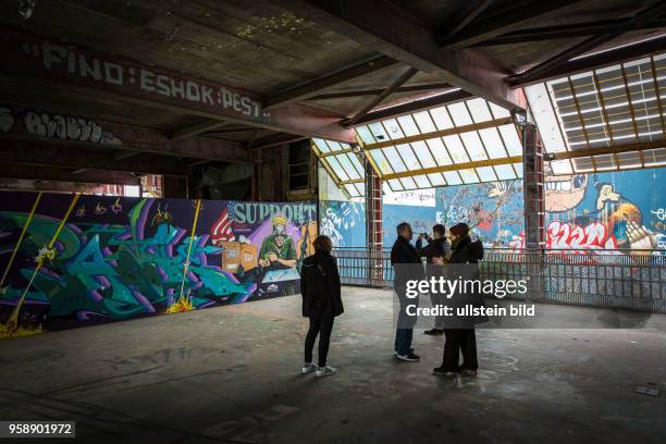 Deutschland Germany Berlin Die ehemalige amerikanische Abhörstation auf dem Teufelsberg mit von Künstlern gestalteten Graffitti. Der Ort kann heute...