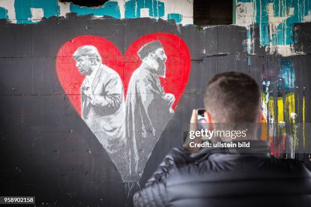 Deutschland Germany Berlin Die ehemalige amerikanische AbhÃ¶rstation auf dem Teufelsberg mit von KÃ¼nstlern gestalteten Graffitti. Der Ort kann heute...