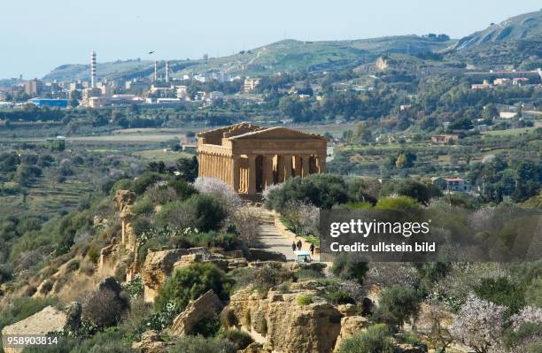 Italien, Sizilien, Agrigento, , Tempel des Zeus im Tal der Tempel, Bestandteil der grossen Ausgrabungsstätte