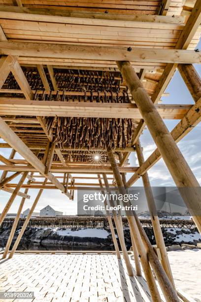 dry stockfish in norway - lofoten in a sunny day - austvagoy stock pictures, royalty-free photos & images